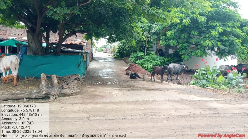 नरसिंह तांडा सिमेंट रस्ता